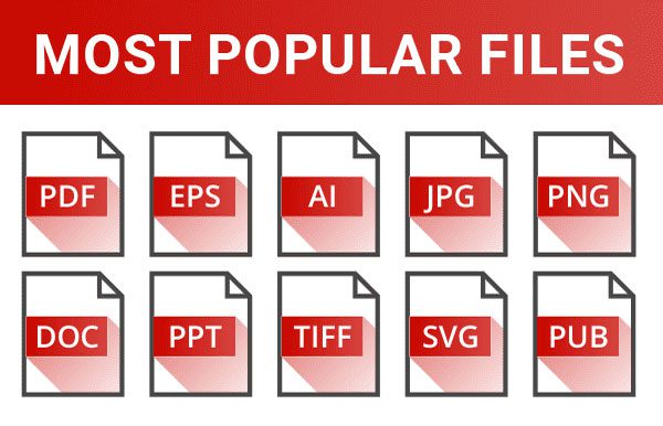 Accepted File Types